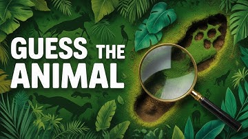 Animal Guessing Game! 🦁 Take on This Ultimate Quiz Challenge and Show Off Your Knowledge!