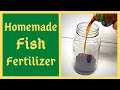 Homemade Fish Fertilizer - Plants Go Crazy For This - JADAM JLF