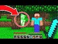 GREEN STEVE VS HEROBRINE! (MINECRAFT)