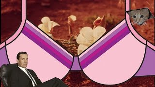 Hump Day Photography