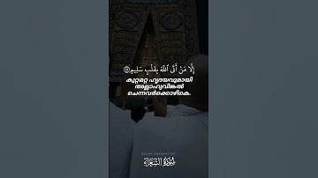 ولا تخزني يوم يبعثون يارب 😔 #تلاوة_خاشعة
