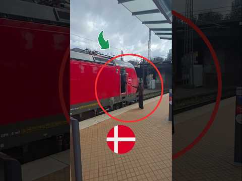 🇩🇰 Denmark Train Travel | A Small Gift, A Beautiful Memory ❤️ #germantrains #dbbahn #deutschebahn
