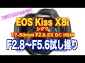 【検証】はじめてのキスデジ！EOS Kiss X8i で試し撮り！シグマ17-50mm F2.8 EX DC HSM[#130]