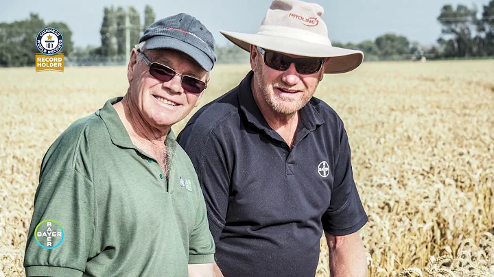 GUINNESS WORLD RECORDS title: Highest Wheat Yield ...