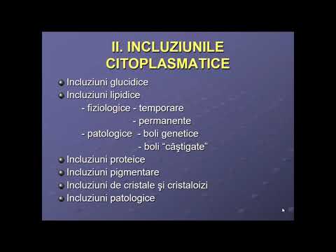 Video: Diferența Dintre Hialoplasmă și Citosol