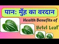 पान: मुँह का वरदान | Health Benefits of Betel Leaf | Dr Satyendra | Adarsh Swasthya |
