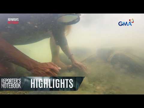Lola na 66-anyos, patuloy na sumisisid sa ilog para makakuha ng ginto | Reporter's Notebook
