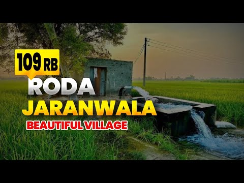 Chak Number 109 RB Roda Jaranwala Punjab Pakistan | Roda Singh Village in Pakistan | Indoz TV