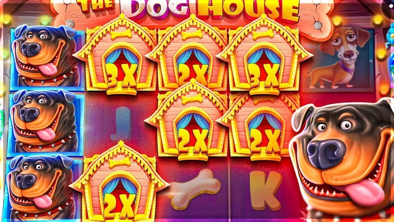 the dog house deposit dana: Arti, Kegunaan, Contoh, dan Kesalahan yang Perlu Dihindari