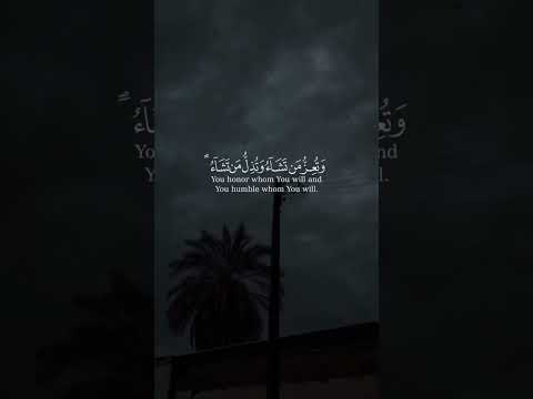 قل اللهم مالك الملك تؤتي الملك من تشاء تلاوة خاشعة المعيقلي