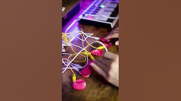 Adrian Motavas made a piano keyboard out of flower petals with Playtron #playtronica #midicontroller