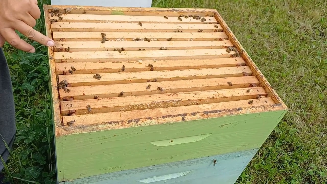 pcelarstvo nemacka tehnika rada sa termo daskama VI deo