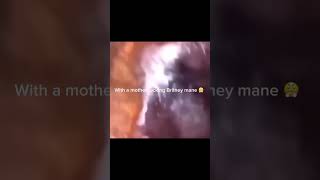 Famous Bro will never cheat again 😭🥀💔 #memes #meme #funny #cheatinggonewrong #memesdaily #memesvideo Wealth