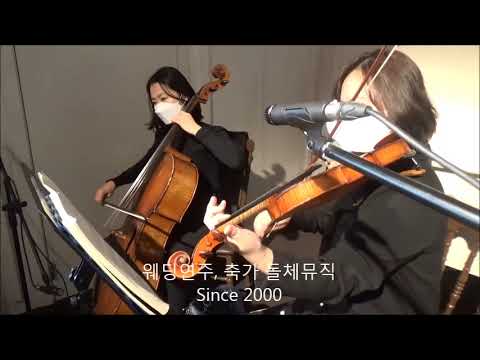 엘리에나호텔 웨딩연주, 결혼식연주, Dream a little dream of me (3중주)
