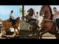 CANELO ALVAREZ “SHOWS OFF INSANE TRICKS ON EXOTIC HORSE!