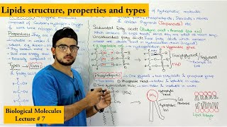 Lipids Structure, types and Functions Part 1