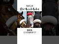 シャドーロールの秘密について