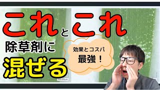 【除草裏技】1回数円であれを使ったら草が速攻で枯れる⁉除草剤に展着剤と尿素を混ぜて手間もコストも下げて最高効率に