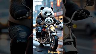 Pandas Bike Shorts Controversy Explained .Ai0