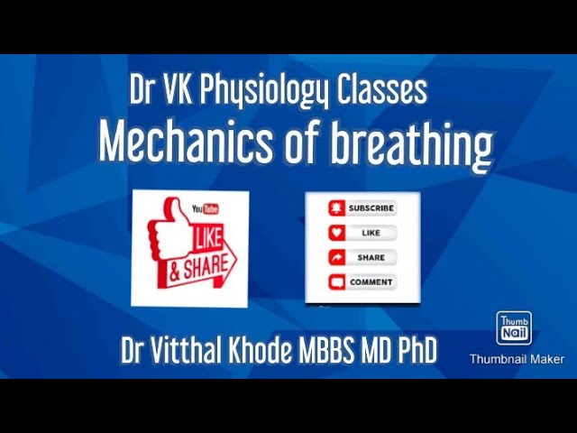 Mechanics of breathing l Mechanics of breathing physiology