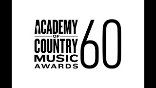 Lainey Wilson Wins Big at ACM Awards: Country Music's Rising Star