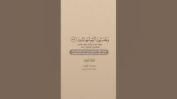 سورة الزخرف [ 36 : 39 ] ~ الشيخ محمد أيوب