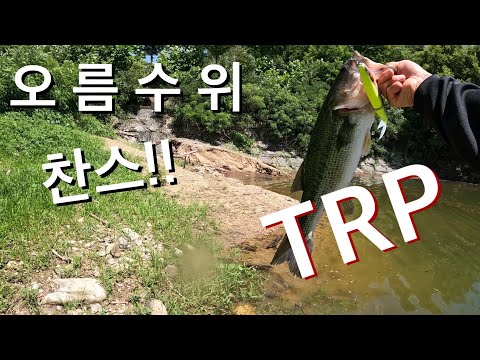 오름 수위 찬스!! 오름수위 낚시는 타이밍 입니다 | 배스낚시 | 오름수위 | 빅베이트 | 네꼬리그 | [머거배스] bass fishing
