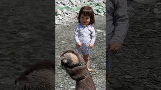 Выдра Заставляет Ребенка Улыбаться🥰🥰 #Shorts #Aty #Otter #Watersausage