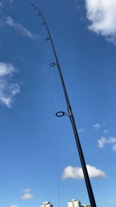 Bull shark fishing #fishing #brisbane #brisbaneriver - YouTube