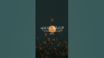 (قال ومن يقنط من رحمة ربه)القارئ: هزاع البلوشي
