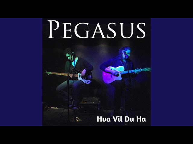 Pegasus - Hva Vil Du Ha