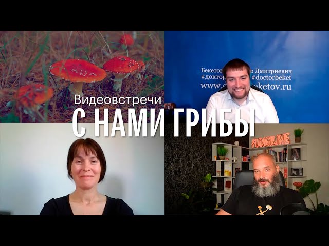 С нами грибы. Микродозинг красного мухомора. Михаил Вишневский, Владимир Бекетов, Елена Александрова