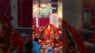 😍🔥 आदिशक्ति माँ अंगारमोती 🙏 | दिव्य दर्शन | Maa Angarmoti Bhakti Status #Shorts
