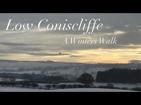 A Snowy Winters Walk at Low Coniscliffe