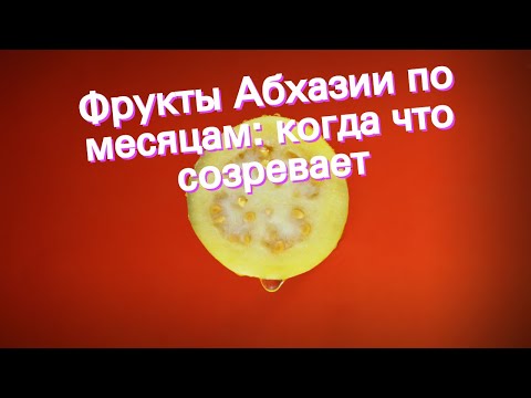 Фрукты Абхазии по месяцам: когда что созревает