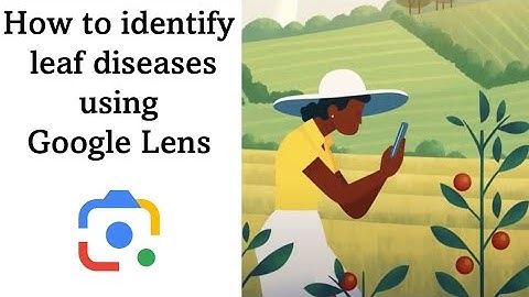 How to identify leaf diseases using Google Lens