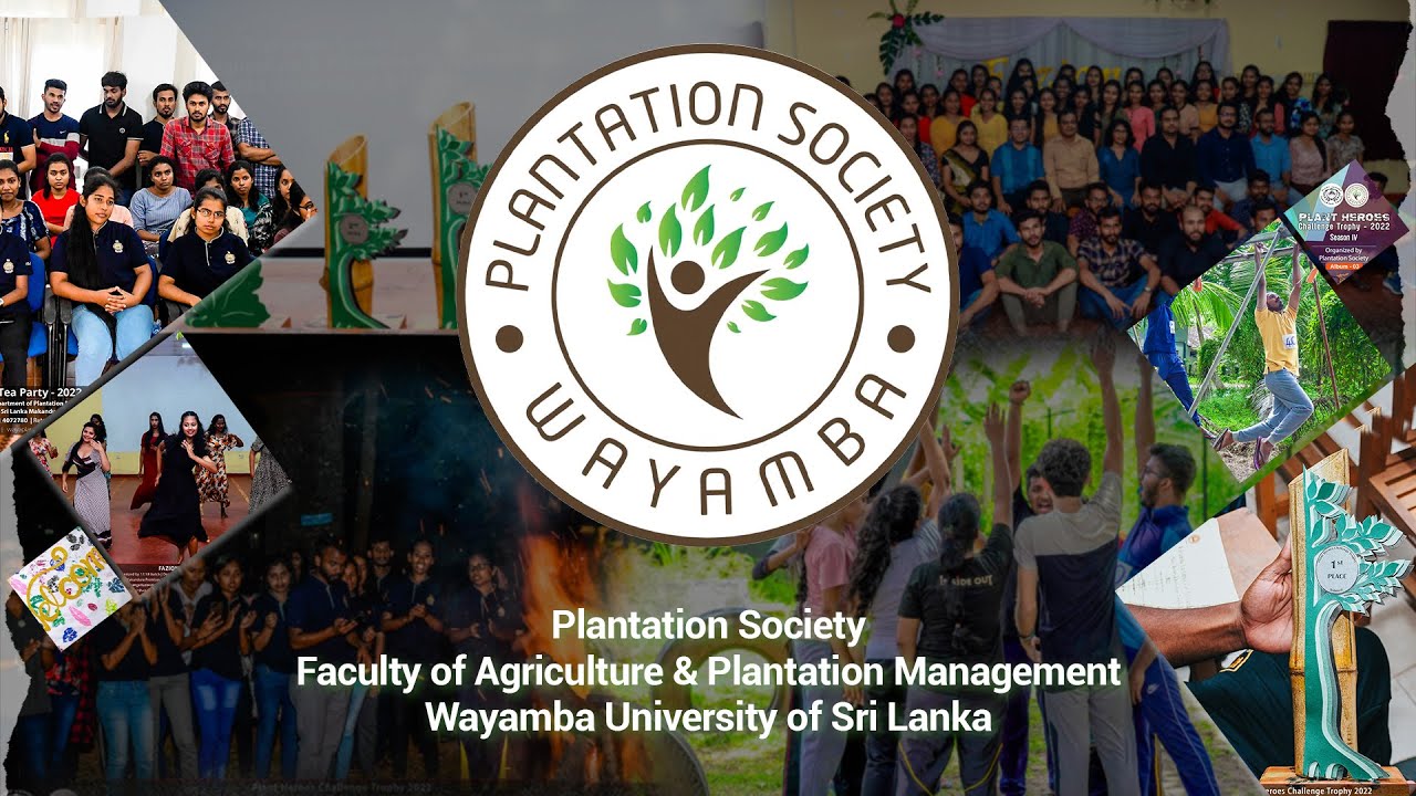 Recap Memories of Plantation Society: A Glimpse into the Past