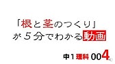 中1理科 植物の分類 Youtube