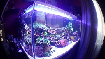 teaser , vortech mp40w-es test