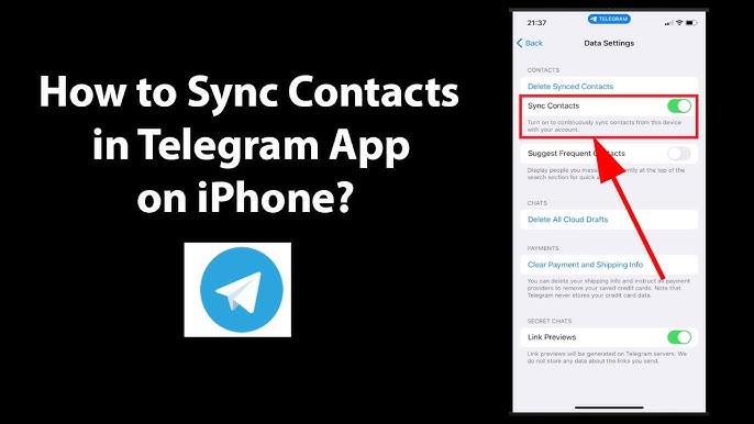 7 Fixes for Telegram Not Syncing Contacts on Android and iPhone - TechWiser