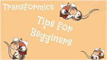 Transformice - Tips for Begginers