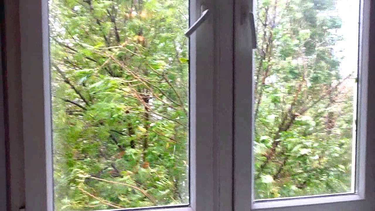 Ураган! За окном дождь, ветер! Деревья гнутся!! - YouTube