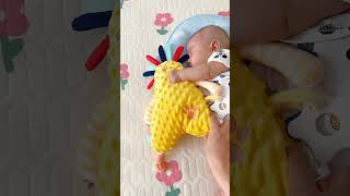 Why Babies Love This Soft Soothing Toy