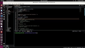 Systems Programming - Video 19 - Programming Assignment 01, Arrays
