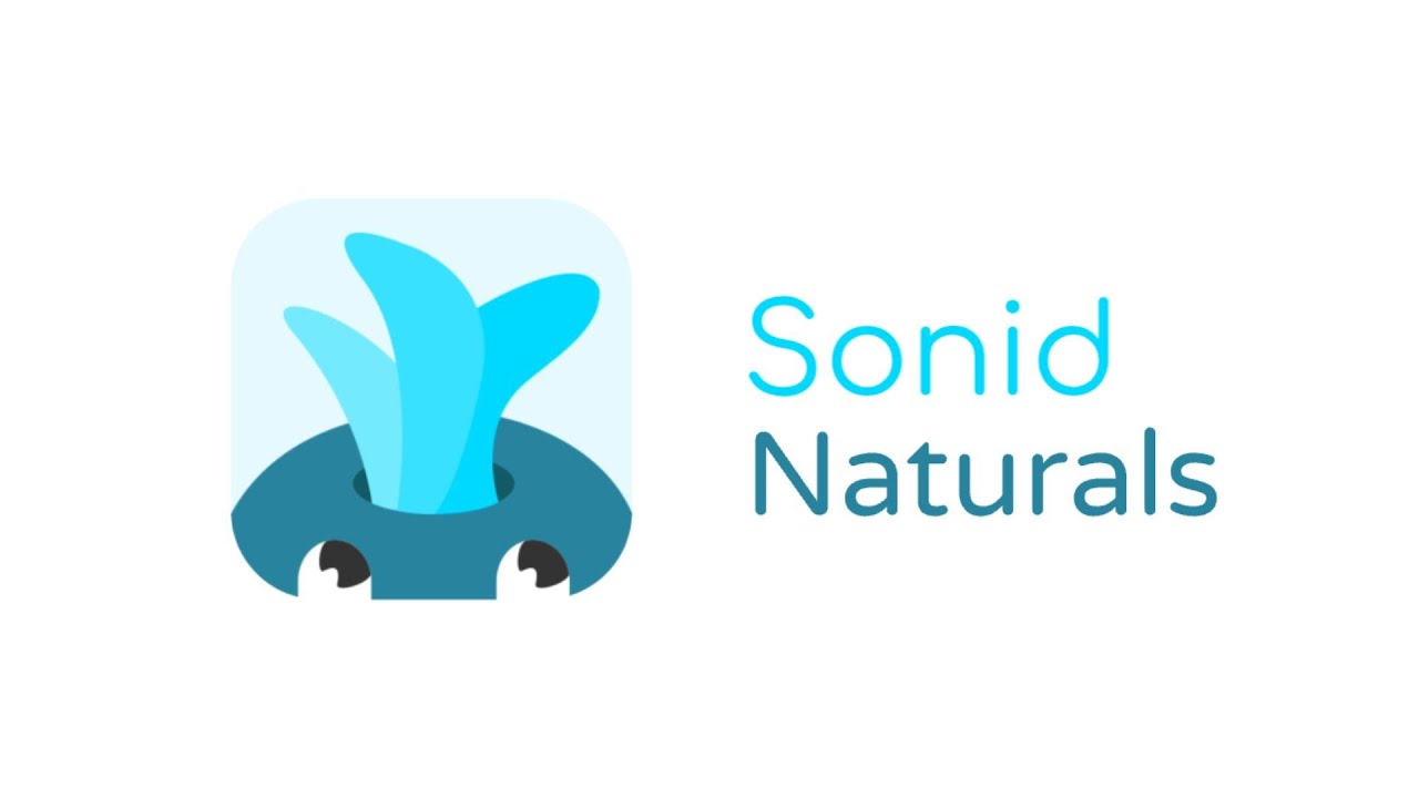 Learn music theory with Sonid - Part 1 - Naturals
