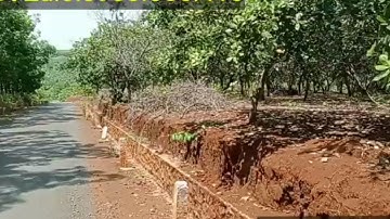 100m mặt tiền đường nhựa phủ hồng sâu 100m giá 15tr500 ngàn/m ngang.Đất đỏ bằng đẹp