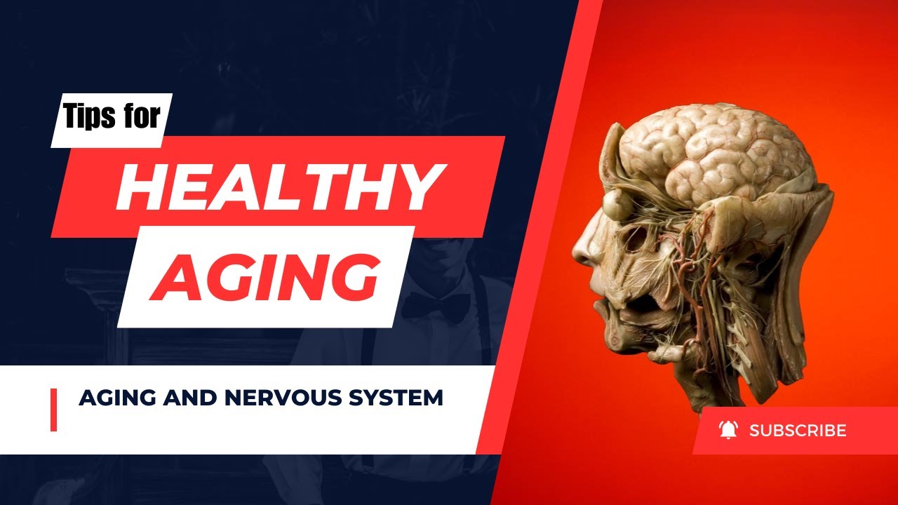 Aging and Nervous System