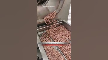 8 meters electromagnetic roaster machine to test cashew nuts