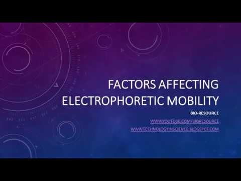 वीडियो: निम्नलिखित में से कौन सा कारक इलेक्ट्रोफोरेटिक गतिशीलता को प्रभावित करता है?