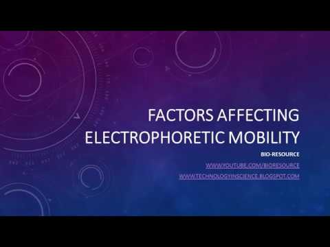 ভিডিও: নিচের কোন বিষয়গুলো ইলেক্ট্রোফোরেটিক গতিশীলতাকে প্রভাবিত করে?